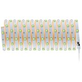 PAULMANN 3989 - LED RGBW/19W prigušiva traka TIP 10 m 230V + daljinski upravljač | Eponuda.com