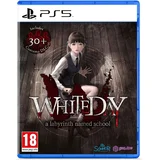 Day a Labyrinth Named School (PS5)