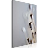 Slika - Dried Poppies (1 Part) Vertical 40x60 Cijene