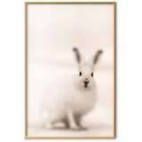 Plakat - Fearful Look 60x90 Zlatni okvir | shoptok.hr