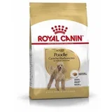 Poodle Adult - 1,5 kg