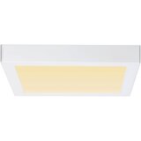 PAULMANN 79801 - LED/13W Plafonsko svetlo CARPO 230V 2300/2500/3000K | Eponuda.com