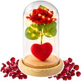 Eternal Rose in Dome with LED Lighting Red with Heart 14x8cm | Shoptok.si