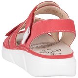Ganter Halina Crvena | shoptok.hr