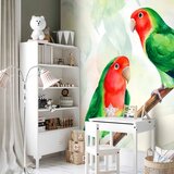  Foto tapeta - Lovebirds 450x315 Standard | shoptok.hr