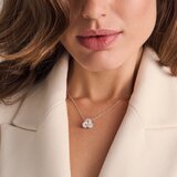 SIF JAKOBS SJ-N10752-CZ | Shoptok.si