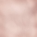 Sally Hansen Salon Effects umetni nohti OV171 Out Of This Pearl 24 kos | Shoptok.si