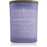 DW Home Charming Farmhouse Lavender Leaf dišeča sveča 230 g Cene