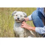 Trixie ogrlica protiv buva i krpelja za pse 60 cm | Eponuda.com