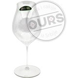 Riedel performance pinot noir 2/1 Cene