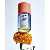 Loewe Paula’s Ibiza Eclectic toaletna voda uniseks 100 ml | shoptok.hr