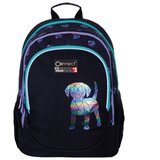  RUKSAK ŠKOLSKI ANATOMSKI BEST FRIEND 23.CONNECT * DO ISTEKA ZALIHA | shoptok.hr