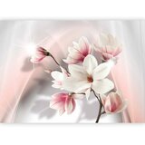  Foto tapeta - White magnolias 500x350 | shoptok.hr