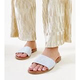 Gemre Silver Shiny Anilsa Slides | Shoptok.si