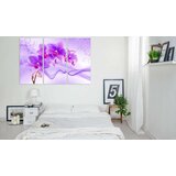  Slika - Ethereal orchid - violet 120x80 | shoptok.hr