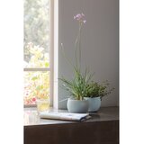 Curver Plastične posude za cvijeće u setu 3 kom ø 15 cm Cozy – Keter | shoptok.hr