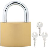 U zaključavanje s ključevima Mjed 6 x 2 x 9,1 cm Željezo | shoptok.hr