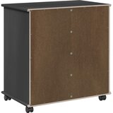  Mobilni ormar Crna 63,5 x 39 x 65,5 cm Čvrsto borovo drvo | shoptok.hr