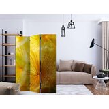  Paravan u 3 dijela - Soft dandelion flower [Room Dividers] 135x172 | shoptok.hr