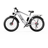 Duotts električno kolo F26 750 W*2 dvojna motorja 20 ah samsung baterija 26*4.0 fat tire 55 km/h največja hitrost 55 stopinj plezanje - srebrna, (21262896) Cene