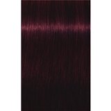 Schwarzkopf igora Royal - 4-99 srednje rjava ekstra vijolična, 60 ml Cene