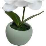 Casa Selección Umetne rastline v kompletu 3 ks (višina 15 cm) Orchid – | Shoptok.si