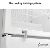 Starcrest profesionalna hladilna vitrina SPS-300WH | Shoptok.si