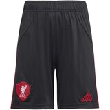 Adidas Kratke hlače & Bermuda Lfc A Sho Y Bež Cene