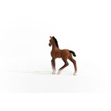 Schleich 13947 - Horse Club - oldenburški žrebec | Shoptok.si