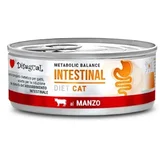 Disigual veterinarska dijeta za mačke konzerva Intestinal - Beef 85g
