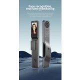 Smart Nest Face recognition automatska pametna brava sa video nadzorom i video interfonom | Eponuda.com
