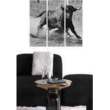 Wallity Set slika MDF611862824, 3 dijela | Eponuda.ba