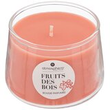 Lesnina-XXXL dišeča sveča izor fruits des bois | Shoptok.si
