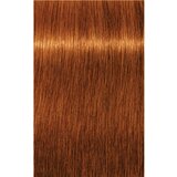 Schwarzkopf igora Royal Absolutes - 7-70 srednje blond bakrena natur, 60 ml | Shoptok.si