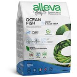 Alleva hrana za štence okeanska riba medium 800gr puppy-junior holistic ALP00222 Cene