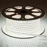 Mitea Lighting svetleće crevo led belo M*/100m | Eponuda.com