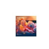 Hisense QLED TV UHD 75E7Q | shoptok.hr