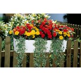 Gardena micro-drip komplet za navodnjavanje tegla za cvijeće (područje primjene: tehnika navodnjavanja) | shoptok.hr