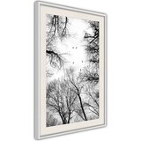  Poster - Treetops 20x30 | shoptok.hr