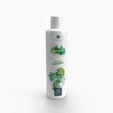 Alkemilla K-Essence gel za prhanje - Ginkgo in bambus | Shoptok.si