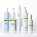 Milk Shake No Frizz Allowed Glistening Rich Serum serum za kosu anti-frizzy 100 ml | shoptok.hr