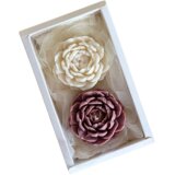 Marfeja Gift Shop Poklon Set dva božura, Belo-Rozi Cene