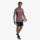 Adidas Real tr sho | Eponuda.com