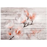  Tapeta - Subtlety of the Magnolia 100x70 | shoptok.hr