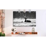  Slika - Lying Deer 120x80 | shoptok.hr