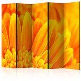  Paravan u 5 dijelova - Yellow gerbera daisies II [Room Dividers] 225x172 Cijene