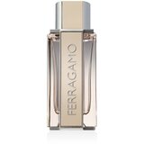 Salvatore Ferragamo Ferragamo Bright Leather Eau de Toilette 100 ml | shoptok.hr