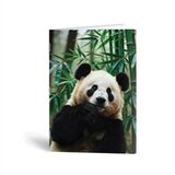 Rucksack Only Bilježnica A6 panda, 40 listova Cijene