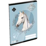 ICO ICO: LizzySuli Wild Beauty Sport Club črtan zvezek za 4. razred A5 21-32 Cene