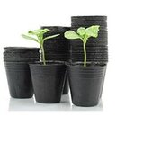  Saksija za rasadu fi - 10 cm | Eponuda.ba